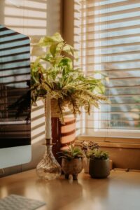 Tips for Creating a Cozy and Productive Home Office Environment