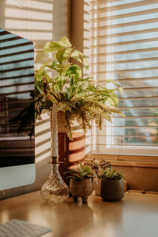 Tips for Creating a Cozy and Productive Home Office Environment